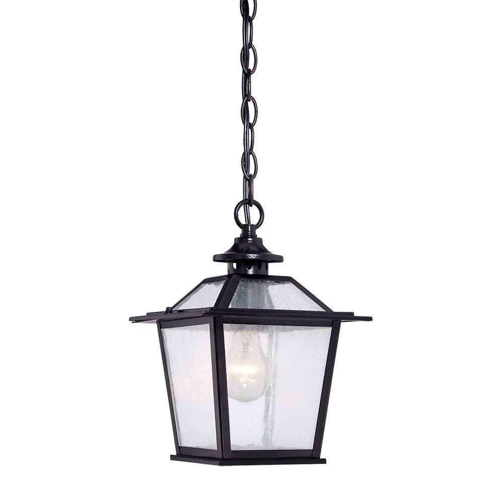 Matte Black Terrarium Shape Hanging Light - Homeroots - Flyclothing LLC