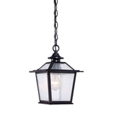 Matte Black Terrarium Shape Hanging Light - Homeroots - Flyclothing LLC