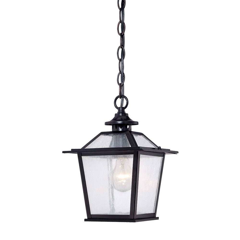 Matte Black Terrarium Shape Hanging Light - Homeroots - Flyclothing LLC