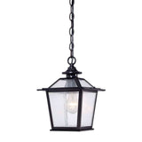 Matte Black Terrarium Shape Hanging Light - Homeroots - Flyclothing LLC