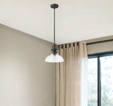 Matte Black Hanging Light with Glass Dome Shade - Homeroots - Flyclothing LLC