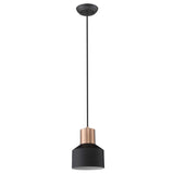 Matte Black and Rose Gold Pendant Hanging Light - Homeroots - Flyclothing LLC