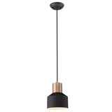 Matte Black and Rose Gold Pendant Hanging Light - Homeroots - Flyclothing LLC