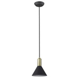 Matte Black and Gold Conical Pendant Hanging Light - Homeroots - Flyclothing LLC