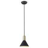 Matte Black and Gold Conical Pendant Hanging Light - Homeroots - Flyclothing LLC