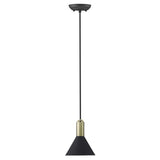 Matte Black and Gold Conical Pendant Hanging Light - Homeroots - Flyclothing LLC