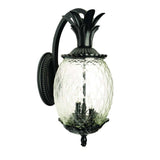 Matte Black Hanging Pineapple Wall Light - Homeroots - Flyclothing LLC