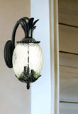 Matte Black Hanging Pineapple Wall Light - Homeroots - Flyclothing LLC