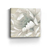 Soft Winter Flower In Bloom Unframed Print Wall Art - Homeroots - Flyclothing LLC