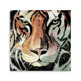Staring Tiger Portrait Unframed Print Wall Art - Homeroots - Flyclothing LLC