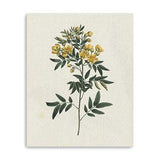 Singular Yellow Blossom Branch Unframed Print Wall Art - Homeroots - Flyclothing LLC