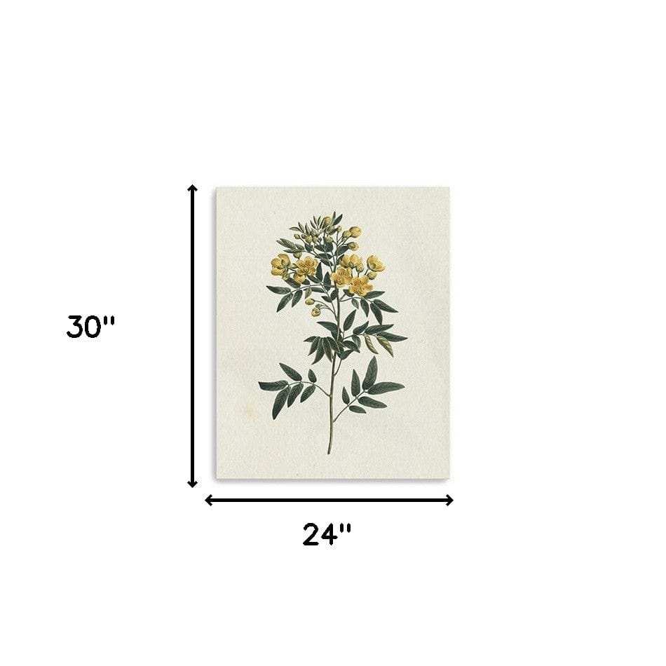 Singular Yellow Blossom Branch Unframed Print Wall Art - Homeroots - Flyclothing LLC