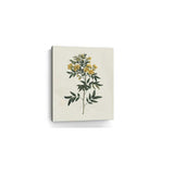 Singular Yellow Blossom Branch Unframed Print Wall Art - Homeroots - Flyclothing LLC