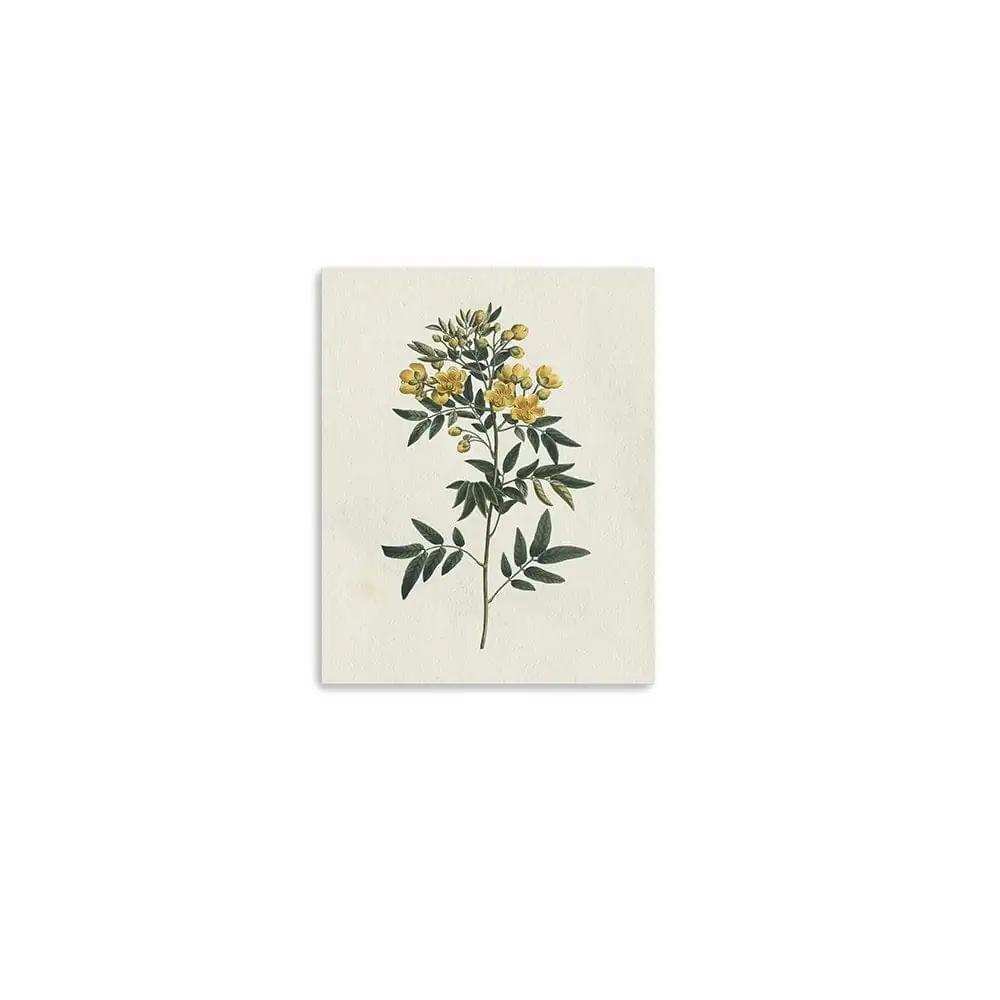 Singular Yellow Blossom Branch Unframed Print Wall Art - Homeroots - Flyclothing LLC