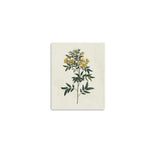 Singular Yellow Blossom Branch Unframed Print Wall Art - Homeroots - Flyclothing LLC