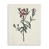 Singular Red Blossom Branch Unframed Print Wall Art - Homeroots - Flyclothing LLC