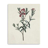 Singular Red Blossom Branch Unframed Print Wall Art - Homeroots - Flyclothing LLC