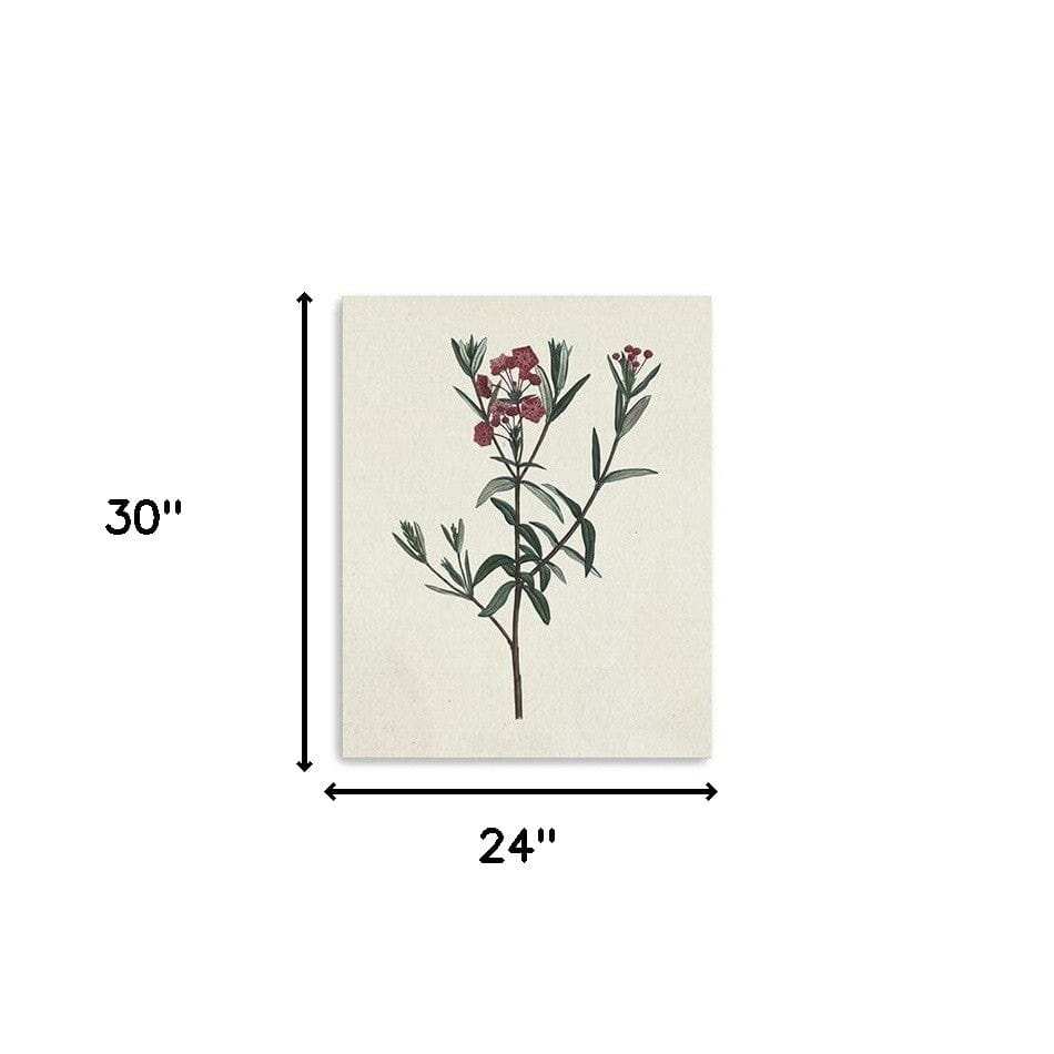 Singular Red Blossom Branch Unframed Print Wall Art - Homeroots - Flyclothing LLC