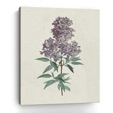 Singular Purple Blossom Branch Unframed Print Wall Art - Homeroots - Flyclothing LLC