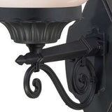 Matte Black Round Acrylic Globe Wall Sconce - Homeroots - Flyclothing LLC