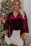 Sequin Notched Long Sleeve Blouse - Trendsi - Flyclothing LLC