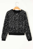 Sequin Round Neck Long Sleeve Blouse - Trendsi - Flyclothing LLC