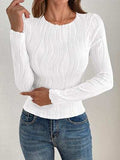 Textured Round Neck Long Sleeve Top - Trendsi - Flyclothing LLC