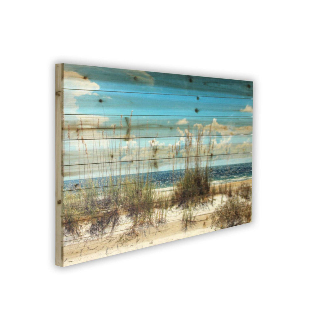 Ocean Sand Dunes Unframed Photograph Wall Art - Homeroots - Flyclothing LLC