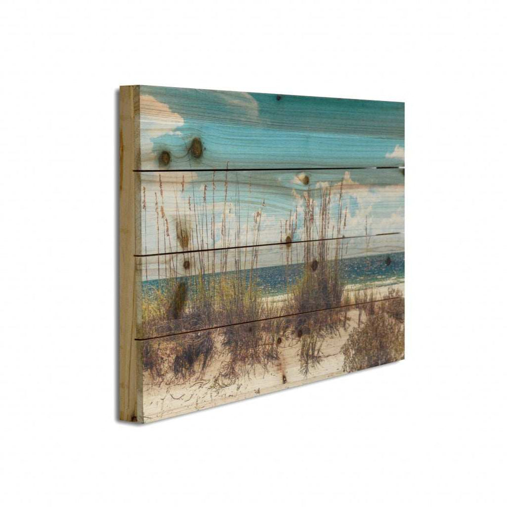 Ocean Sand Dunes Unframed Photograph Wall Art - Homeroots - Flyclothing LLC