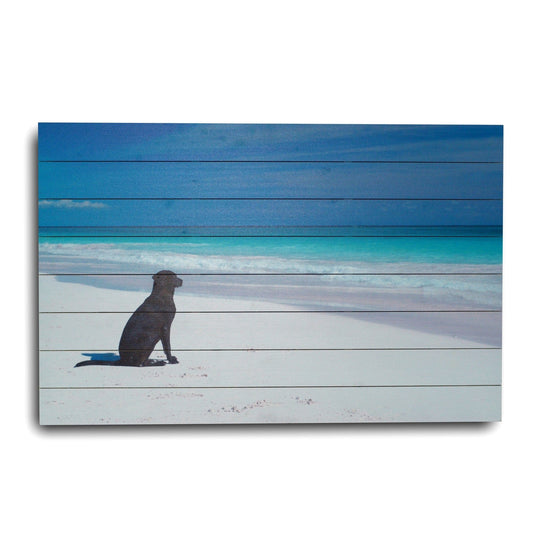 36" Energetic Dog at the Beach Unframed Photograph Wall Art - Homeroots