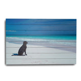36" Energetic Dog at the Beach Unframed Photograph Wall Art - Homeroots - Flyclothing LLC