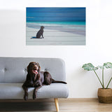 36" Energetic Dog at the Beach Unframed Photograph Wall Art - Homeroots - Flyclothing LLC