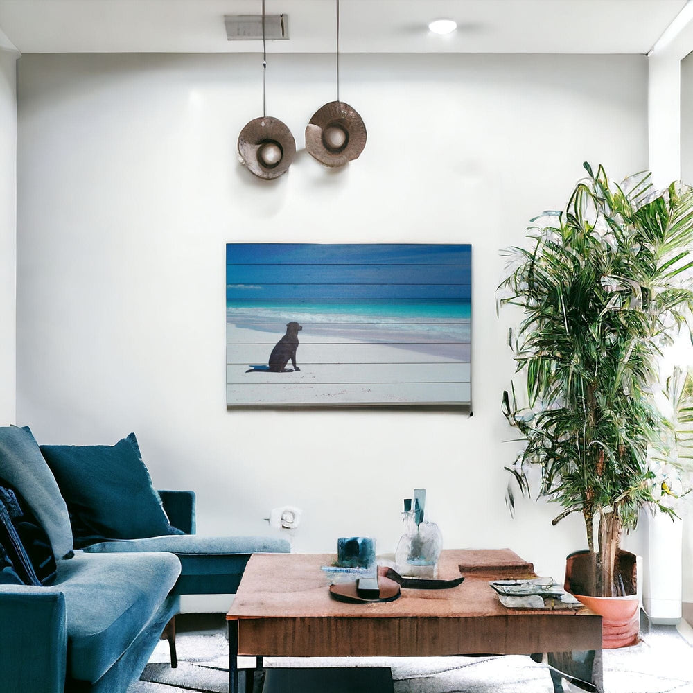 36" Energetic Dog at the Beach Unframed Photograph Wall Art - Homeroots - Flyclothing LLC