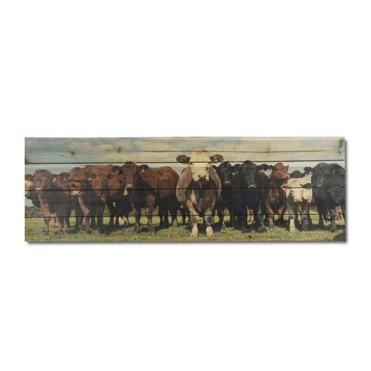 Charming Cow Herd Unframed Photograph Wall Art - Homeroots - Flyclothing LLC
