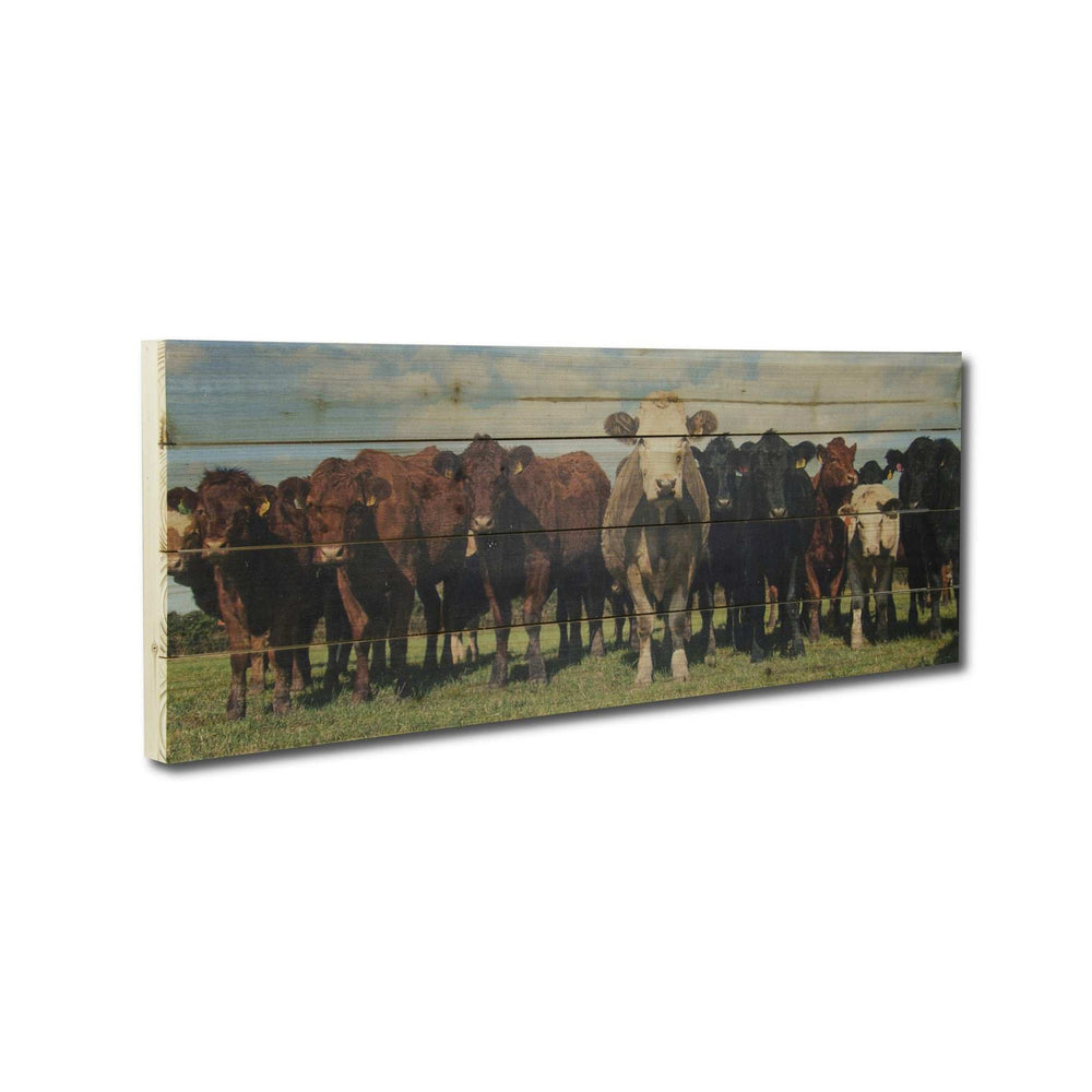 Charming Cow Herd Unframed Photograph Wall Art - Homeroots - Flyclothing LLC