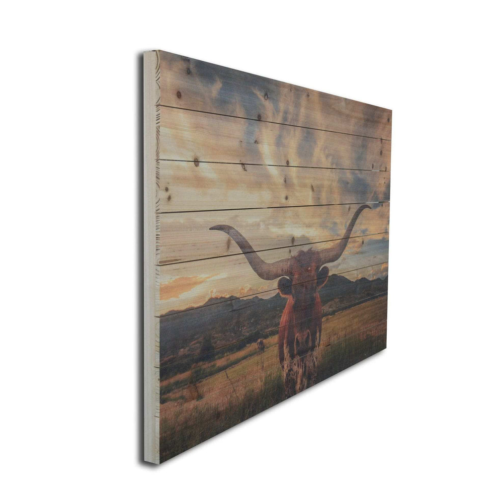 Unframed Photograph Wall Art - Homeroots - Flyclothing LLC