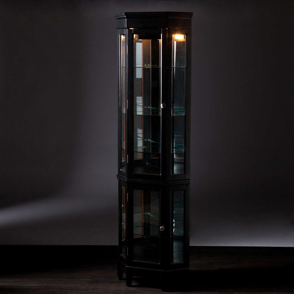 Elegant Black Lighted Curio Cabinet - Homeroots - Flyclothing LLC