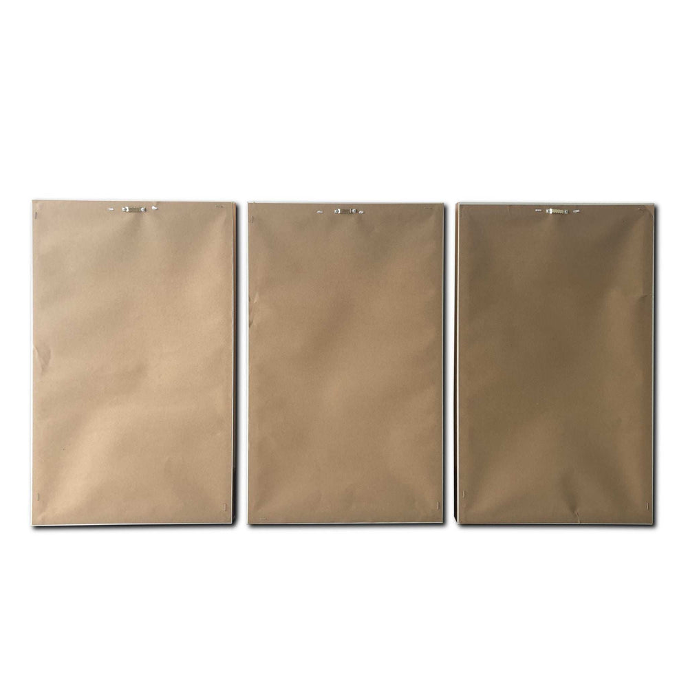 Floral and Bright Garden Framed Canvas Wall Art Floater Frame Graphic Art Wall Art - Homeroots - Flyclothing LLC