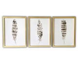 Set Of Three Three Neutral Brown Feathers Framed Wall Art Set Picture Frame Graphic Art Wall Art - Homeroots - Flyclothing LLC
