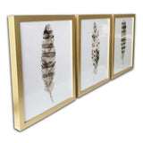 Set Of Three Three Neutral Brown Feathers Framed Wall Art Set Picture Frame Graphic Art Wall Art - Homeroots - Flyclothing LLC
