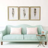 Set Of Three Three Neutral Brown Feathers Framed Wall Art Set Picture Frame Graphic Art Wall Art - Homeroots - Flyclothing LLC
