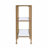 49" Clear and Gold Glass Floor Shelf Console Table With Storage - Homeroots - Flyclothing LLC