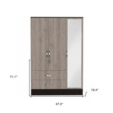 71" Brown and Black Mirrored Two Drawer Combo Dresser - Homeroots - Flyclothing LLC