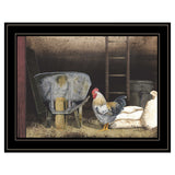 Chicken Feed 2 Black Framed Print Wall Art - Homeroots - Flyclothing LLC