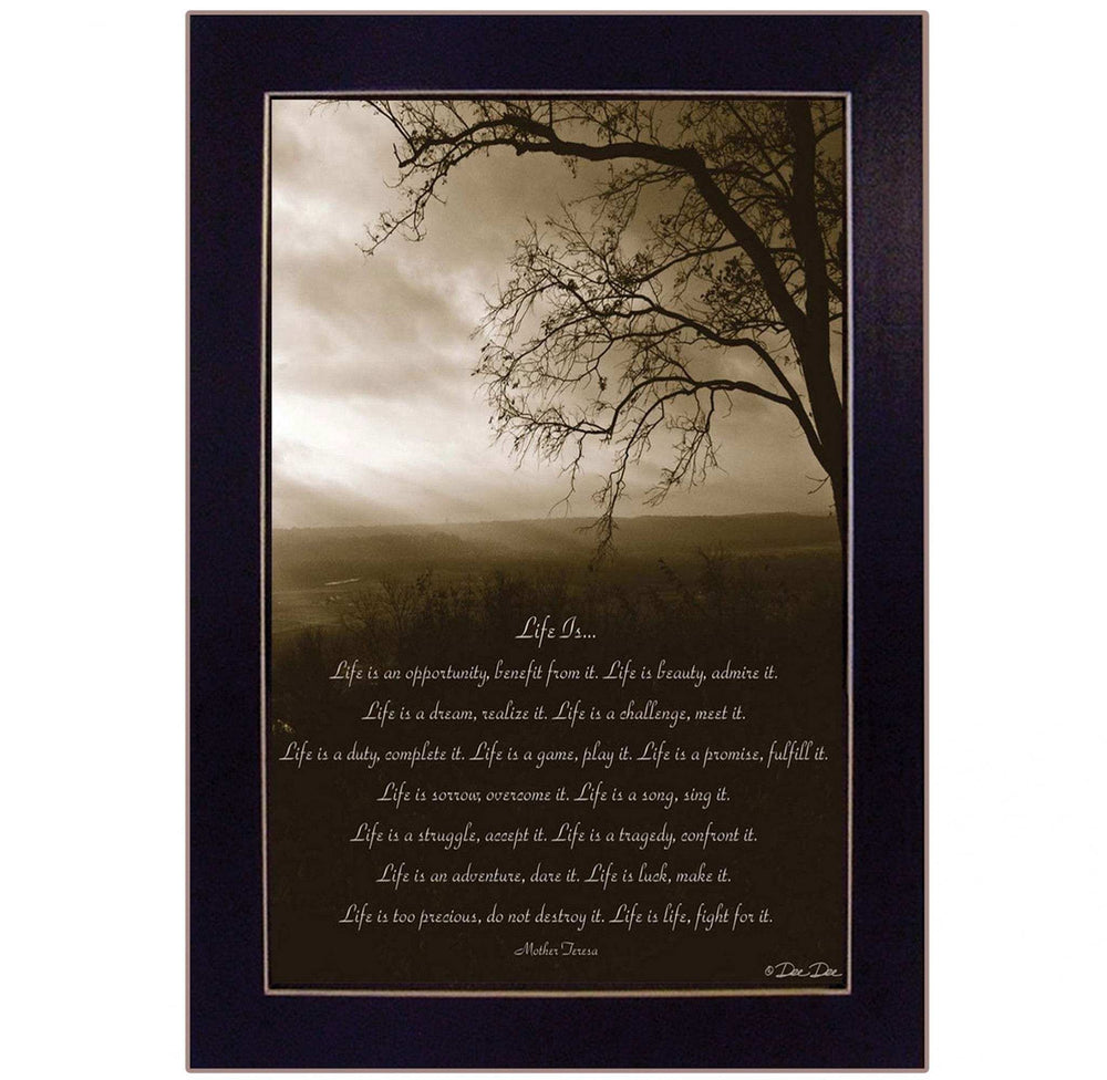 Life Is 9 Black Framed Print Wall Art - Homeroots - Flyclothing LLC