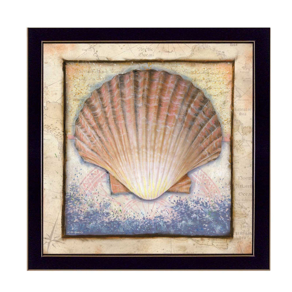Shell Black Framed Print Wall Art - Homeroots - Flyclothing LLC