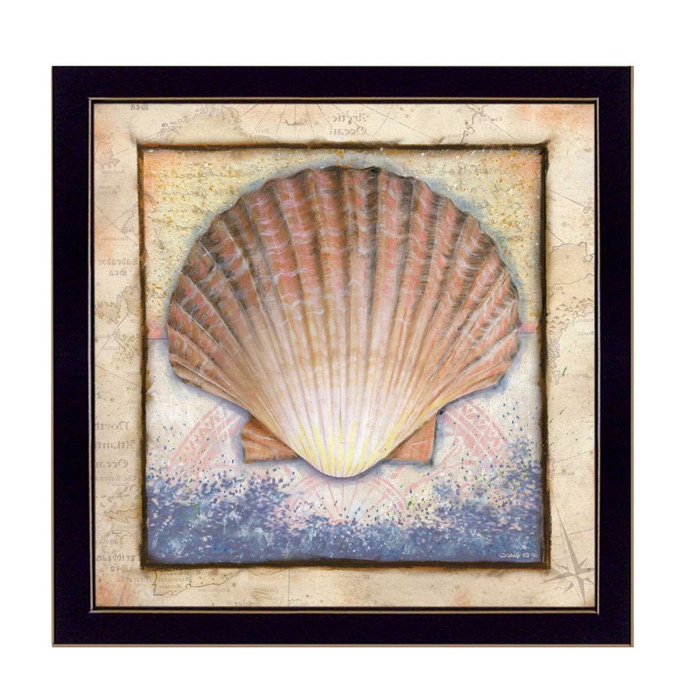 Shell Black Framed Print Wall Art - Homeroots - Flyclothing LLC