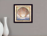 Shell Black Framed Print Wall Art - Homeroots - Flyclothing LLC