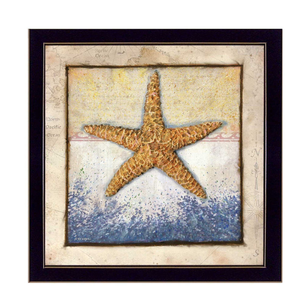 Starfish Black Framed Print Wall Art - Homeroots - Flyclothing LLC