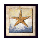 Starfish Black Framed Print Wall Art - Homeroots - Flyclothing LLC